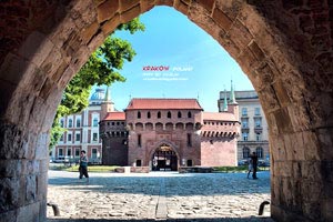 顶级外援加盟，球队整体实力提升