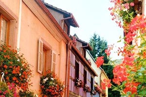 顶级外援加盟，球队整体实力提升