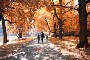 经典足球大战赛程延续，球队实力逐渐暴露